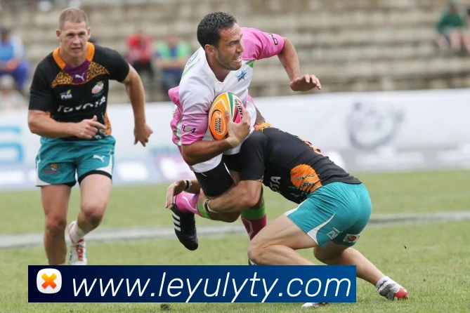 乐鱼体育APP 体育赛事宣传图